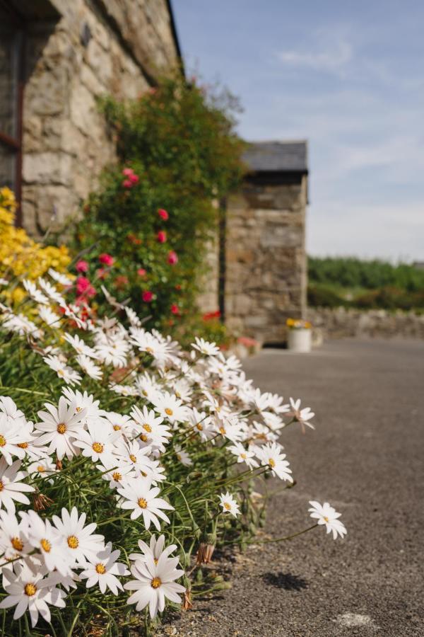 Creevy Cottages Rossnowlagh Kültér fotó
