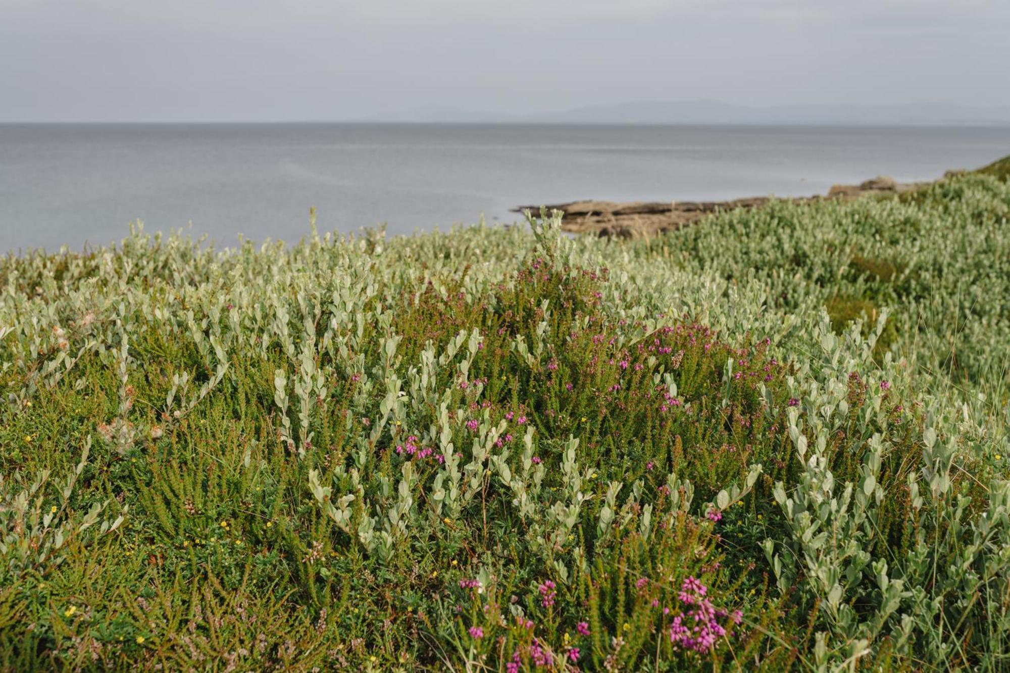 Creevy Cottages Rossnowlagh Kültér fotó